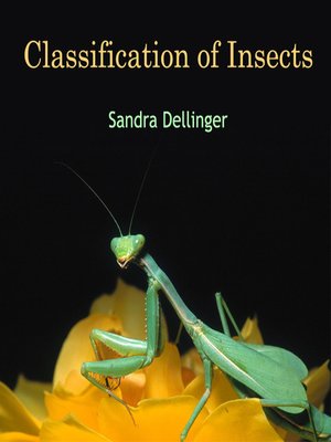 cover image of Classification of Insects